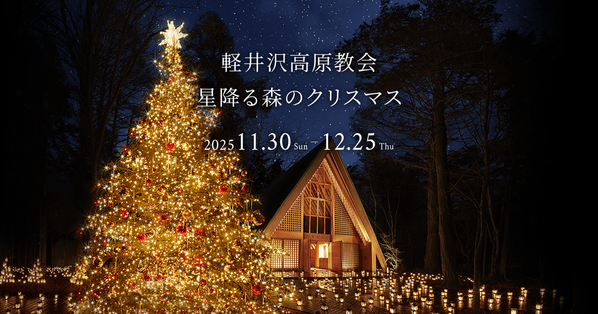 アクリル画　原画　「星降る夜のクリスマス03」額縁付　F3サイズ　キャンバス Christmas⑥】アクリル画 F3 風景画 絵画 夕暮れ時の海