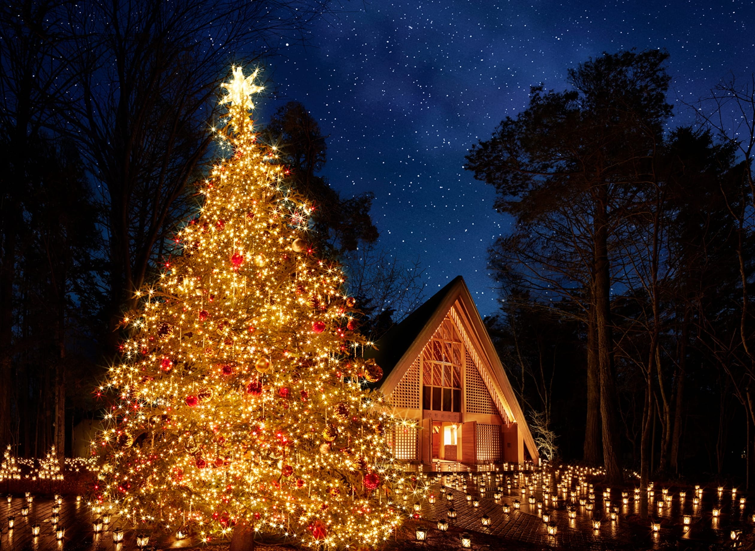 写真：星降る森のクリスマス